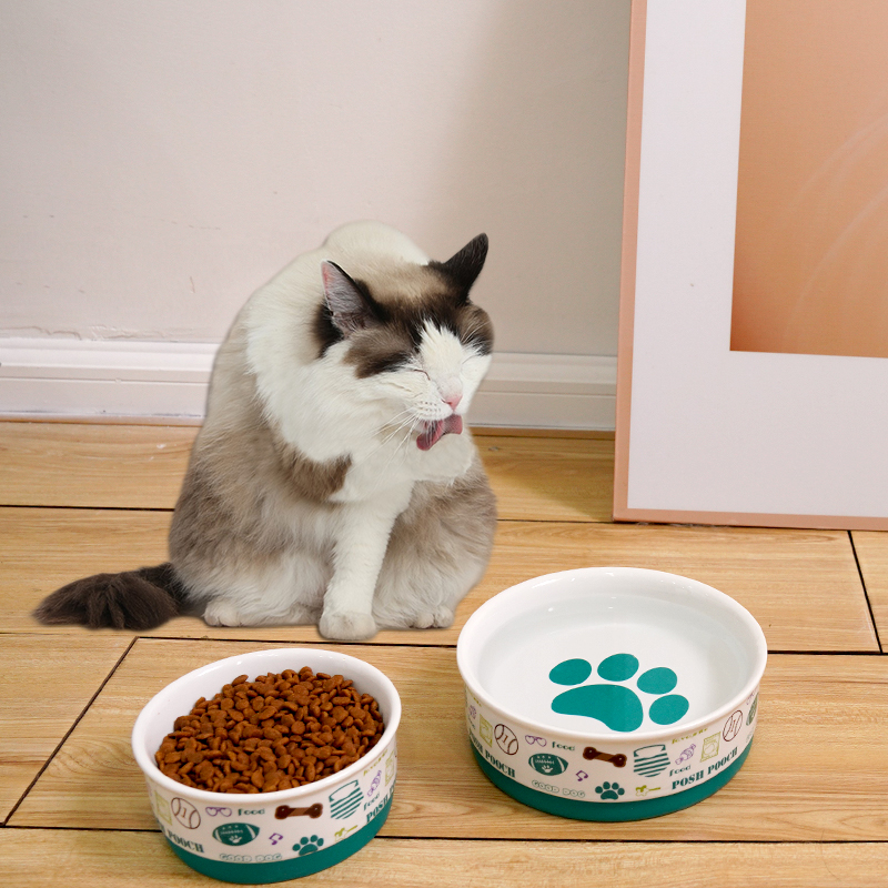 Manufacturer Wholesale Silicone Base Cat Dog Ceramic Bowl With Paw Print