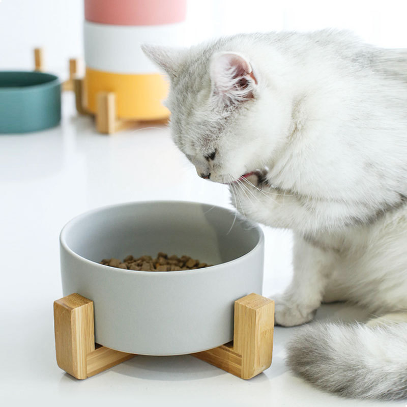 Manufacturer Wholesale Pet Dog Cat Ceramic Bowl With Wooden Frame Multi Colors