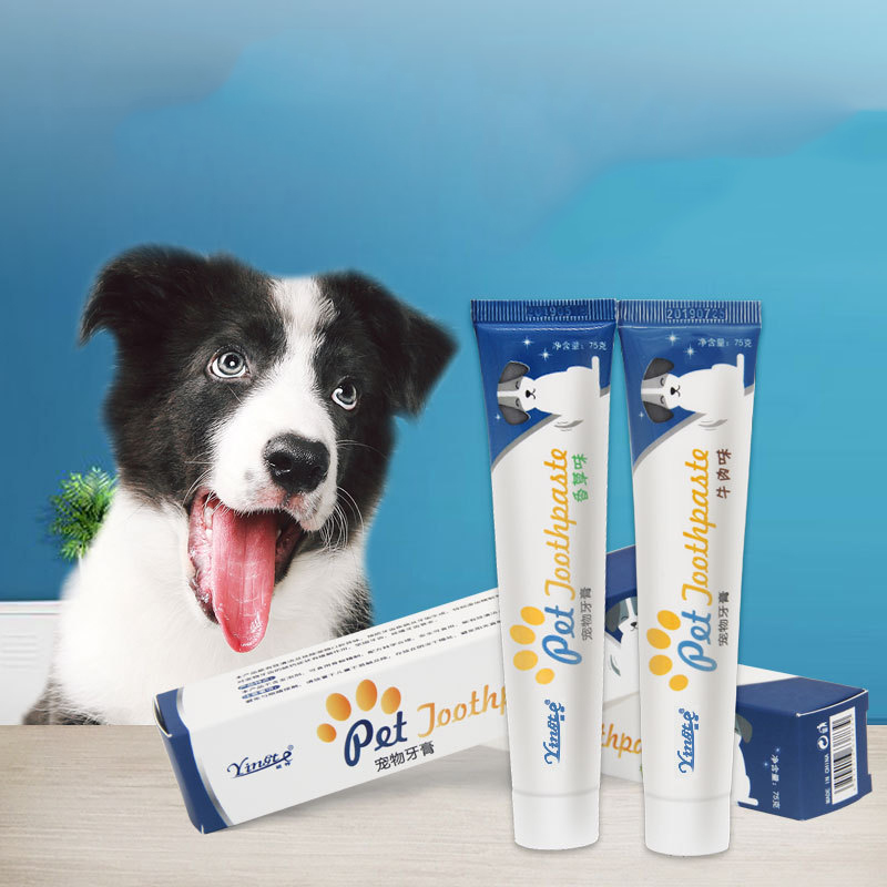 Manufacturer Wholesale Healthy Beef Flavor Vanilla Dog Toothpaste