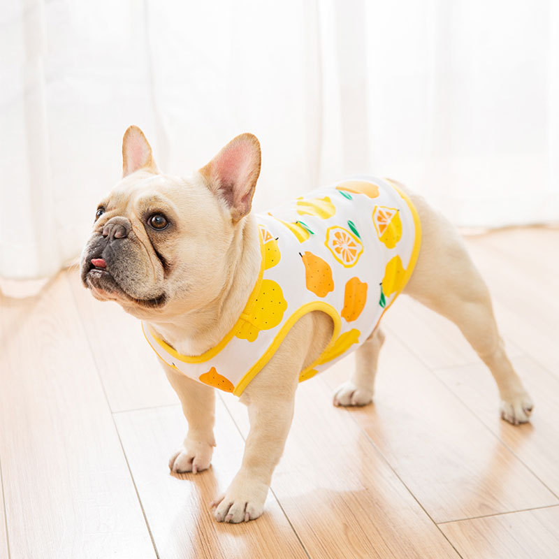 Manufacturer Wholesale Summer Breathable Lemon Dog Vest