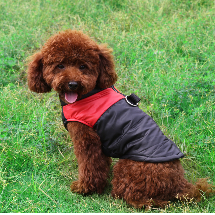 Manufacturer Wholesale Designer Multi-colors Warm Cotton Stuffed Pet Dog Coat Winter
