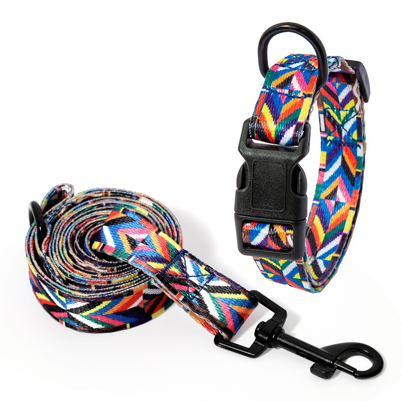 Manufacturer Wholesale Colorful Design Cheap Adjustable Dog Collar And Leash Set
