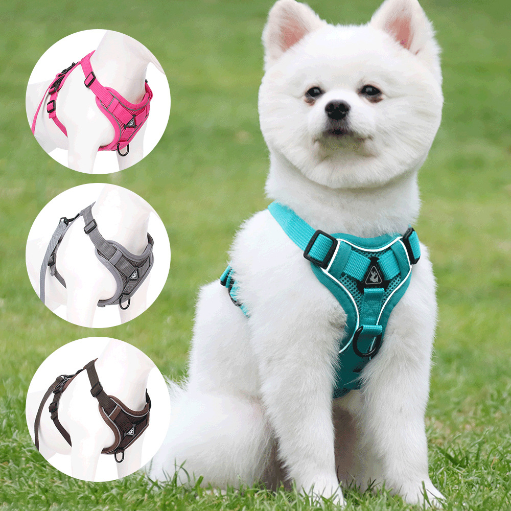 Manufacturer Wholesale Multi-colors Breathable Reflective Dog Harness With Leash Set