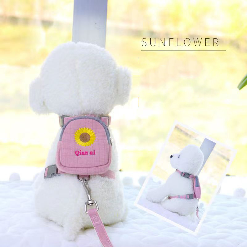 Manufacturer Wholesale Multi-colors Cute Design Outdoor Cat Small Dog Harness With Bag