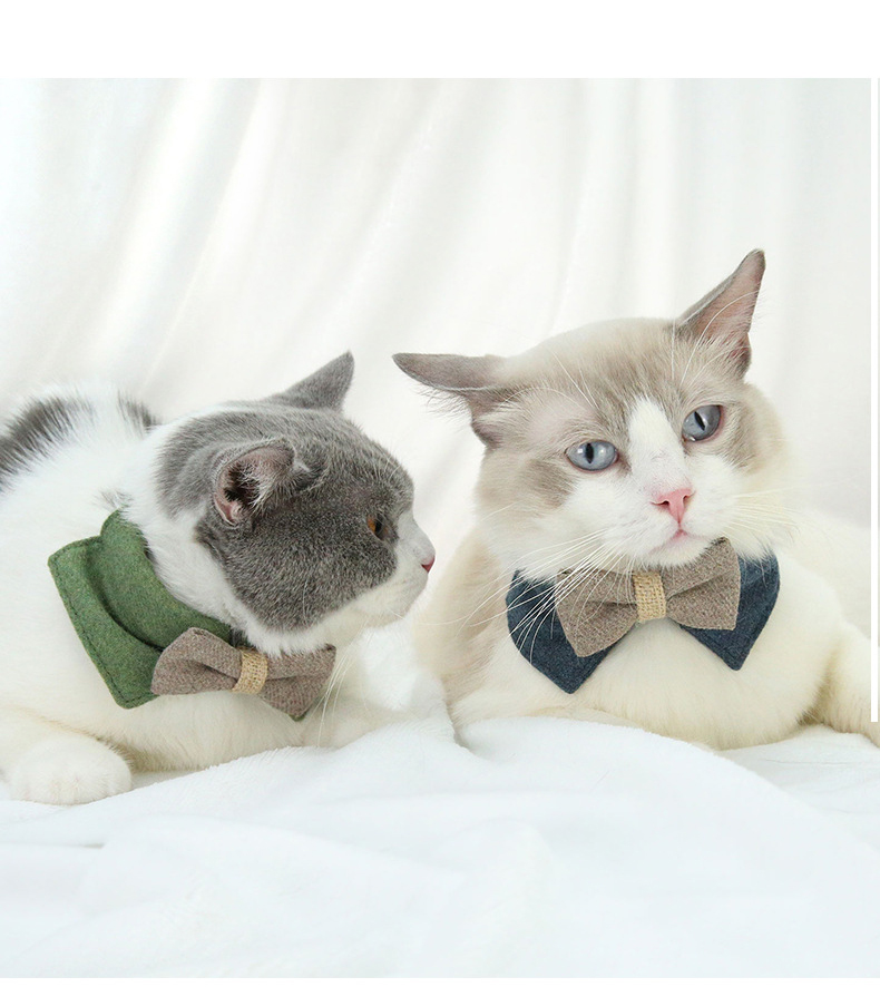 Manufacturer Wholesale Green Blue Coffee Cat Collar With Bow-knot
