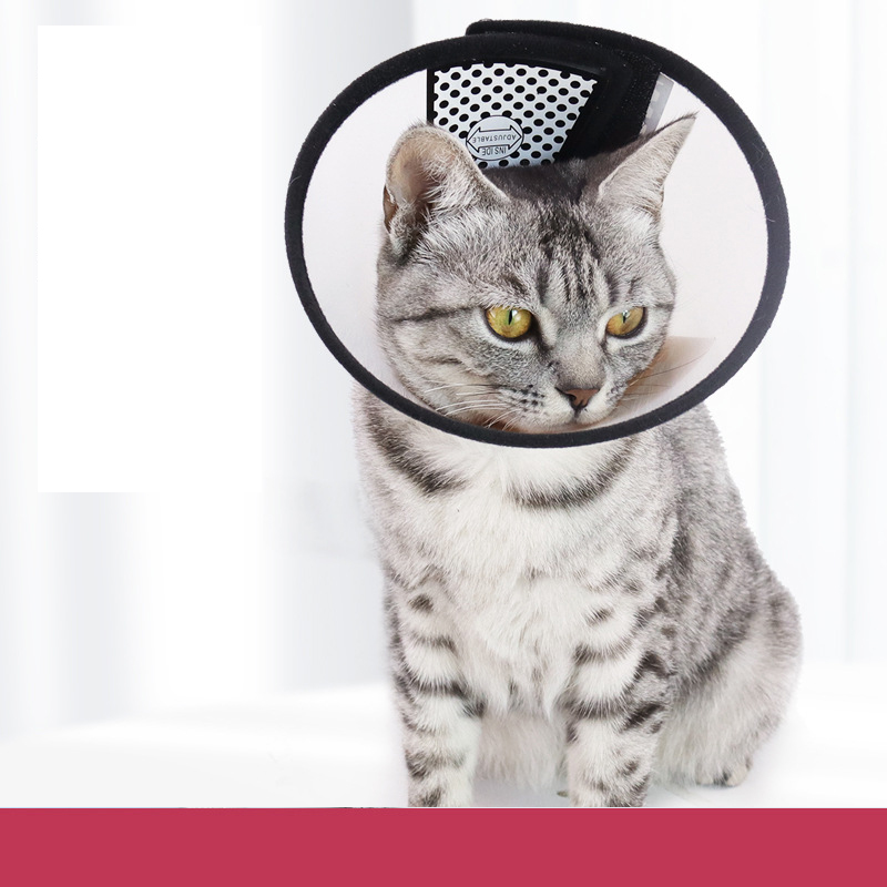 Wholesale Manufacturer Healing Protective More Size Cat Elizabeth Collar