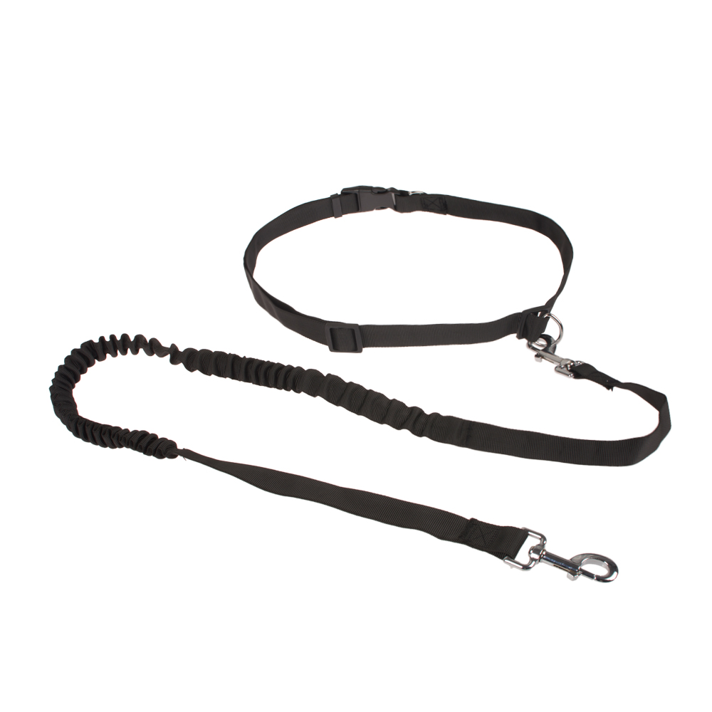 Wholesale Manufacturer Nylon Running Custom Pet Dog Collar And Leash Set