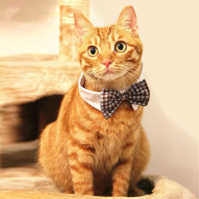 Manufacturer Wholesale Popular Detachable Wedding Plaid Color Pet Bowtie Dog Bow Tie