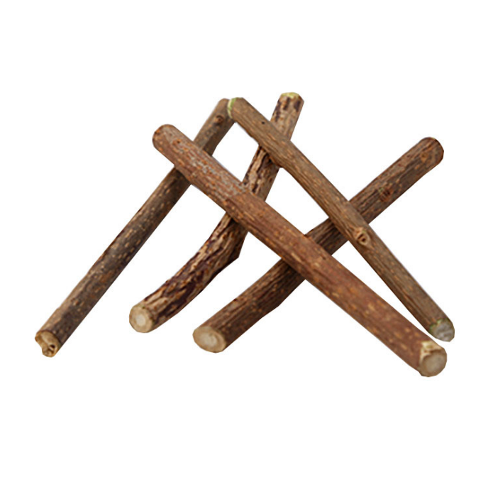 Cat Toy Natural Matatabi Silvervine Stick Molar