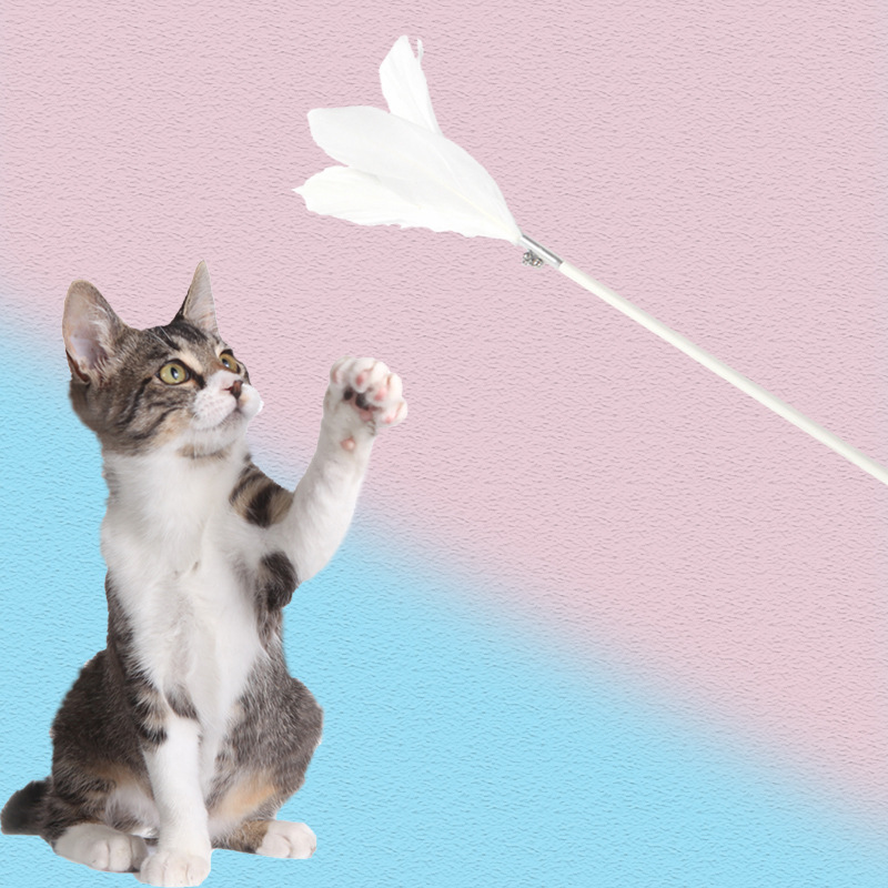 Factory Spot Wholesale Pet Cat Toy Fairy Cat Teaser Feather Cat Stick Interactive Pet Products