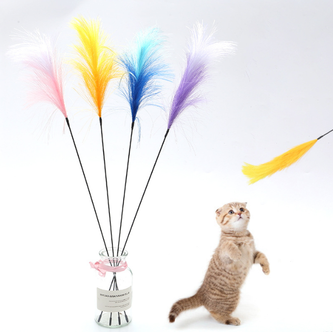 Hot Selling 4 Colors Interactive Cat Toy Feather Cat Teaser
