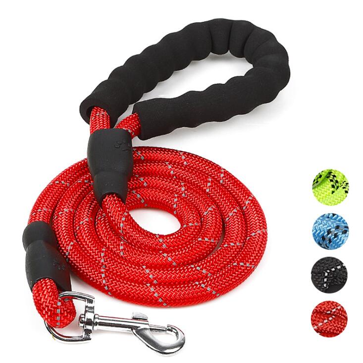 Best Selling Multicolor Solid Eva Handle Nylon Rope Dog Leash
