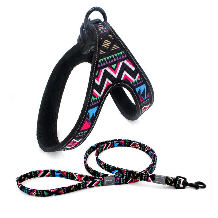 Eco-friendly Colorful Printing Oxford Cloth Luxury Reflective Dog Harness