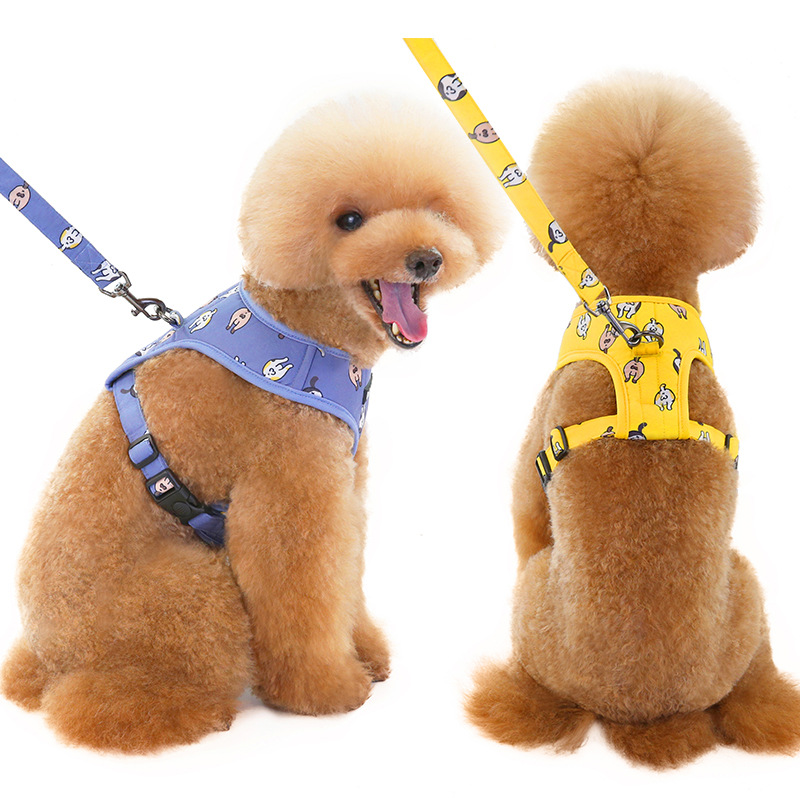 2020 New Three-color Printing Fresh Cute Dog Leash And Harness Set