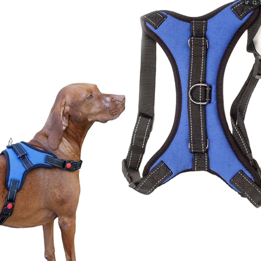 2021amazon Hot New Pet Chest Strap,Explosion-proof Pet Traction Rope