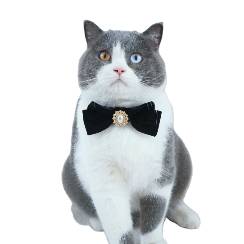 Cat Dog Velvet Bow Pearl Diamond Retro Anti-choking Bow Tie Collar