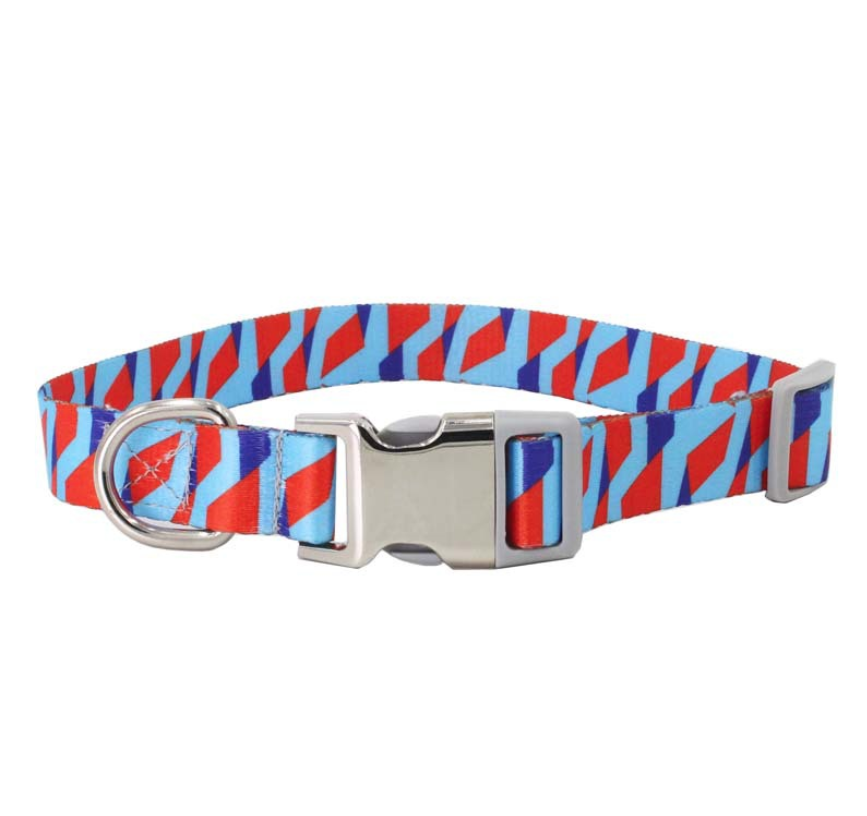 Factory Direct Fashion Buckle Printing Nylon Webbing Dog Collar Pet Products