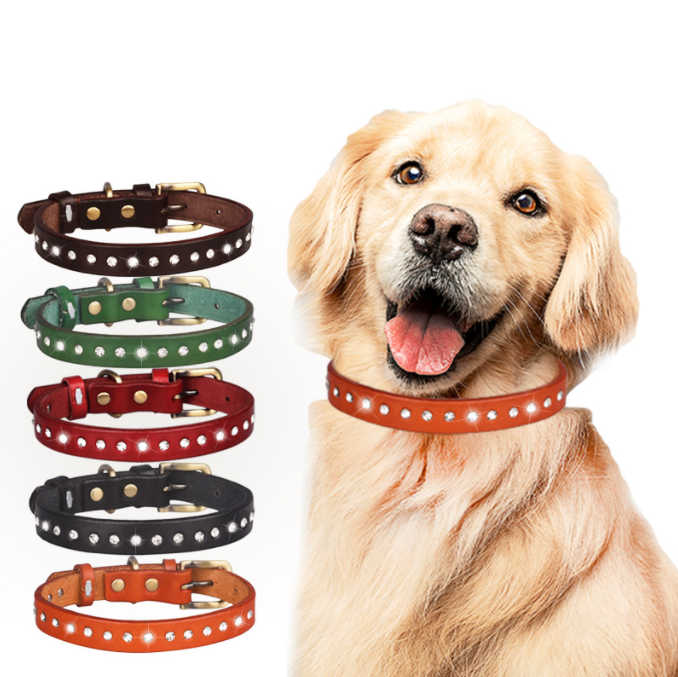Leather Pet Collar Vintage Top Layer Cowhine Dog Collar Sparkly Rhinestone Dog Collar