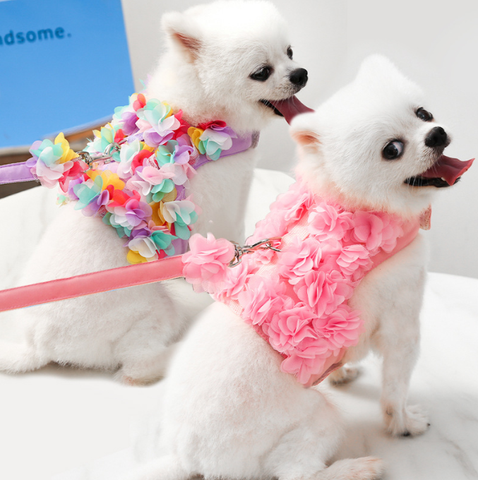 Pet Leash Flower Style New Dog And Cat Leash Harness Set