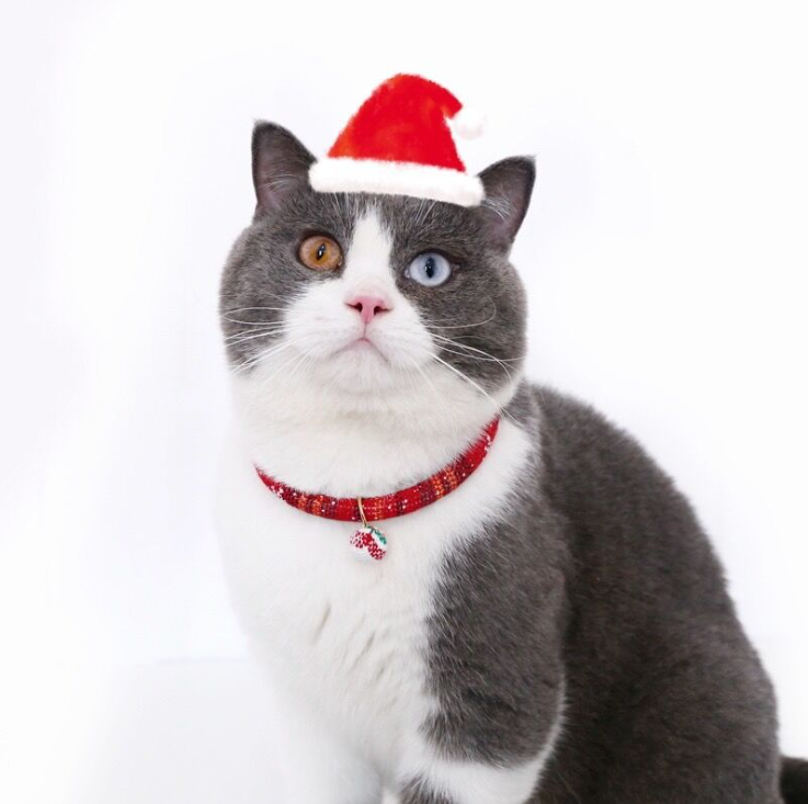 Pet Christmas Bell Pendant Adjustable Cat Dog Collar