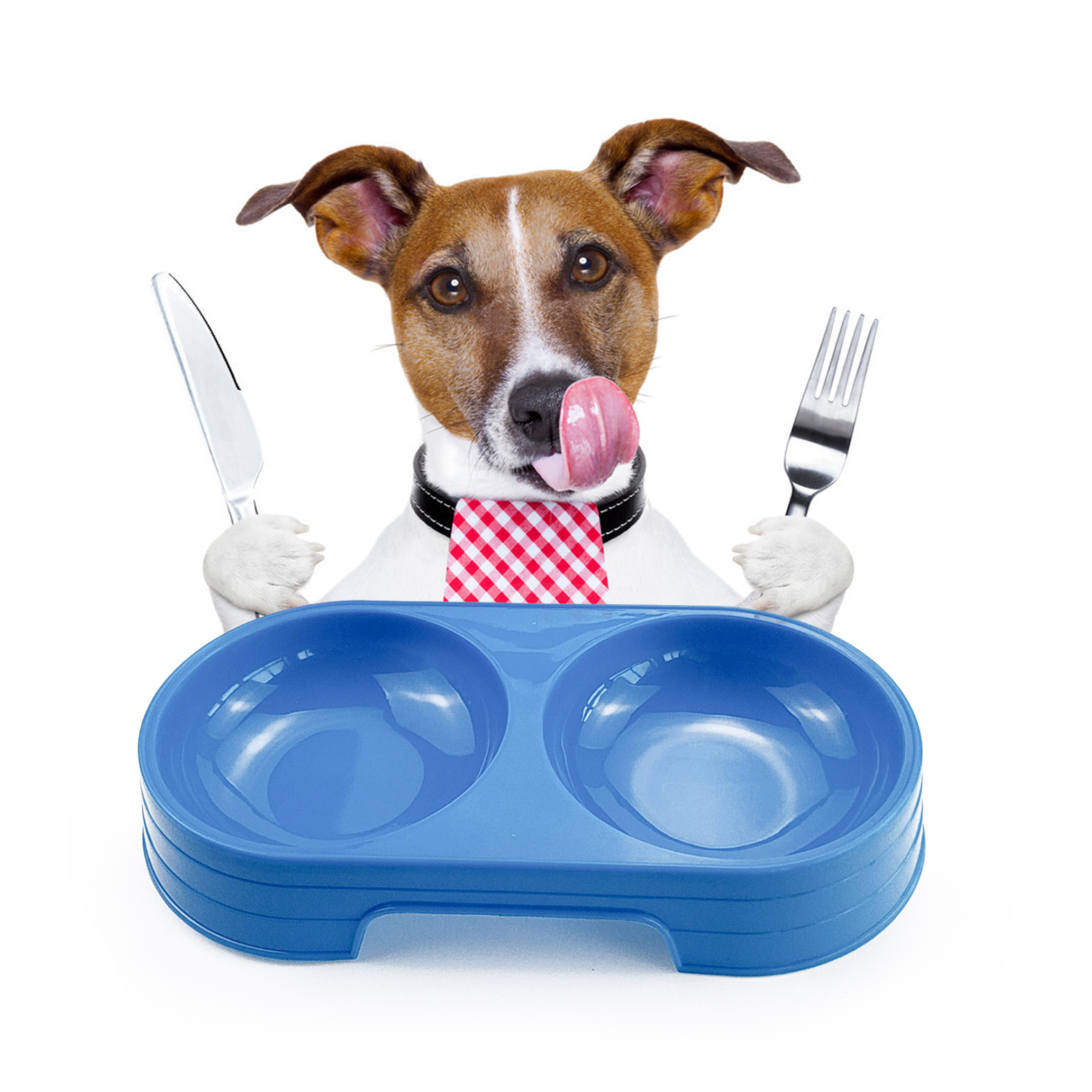 Wholesale Plastic Pet Double Bowl Dog Food Feeder Pet Accessories
