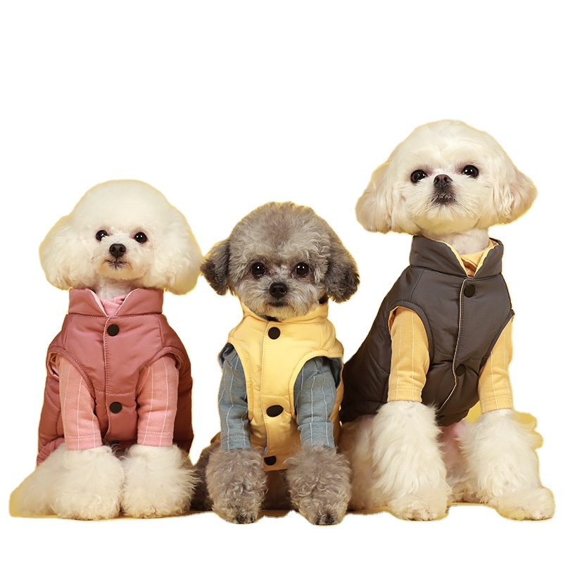 Manufacturers Direct Wholesale Autumn Winter Luxury Dog Tennis Coat Dog Cotton Clothes