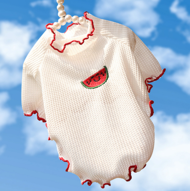 Summer New Dog Shirt Pet Cat Clothes Two-leg Dog Clothes