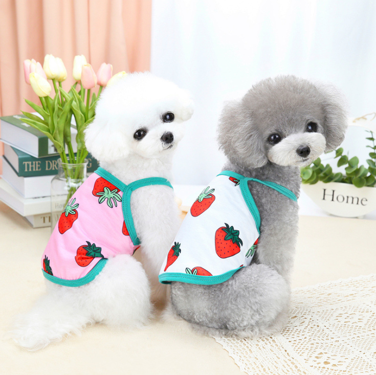 Summer New Dog Strawberry Slip Skirt Teddy Thinner Dog Vest Clothes