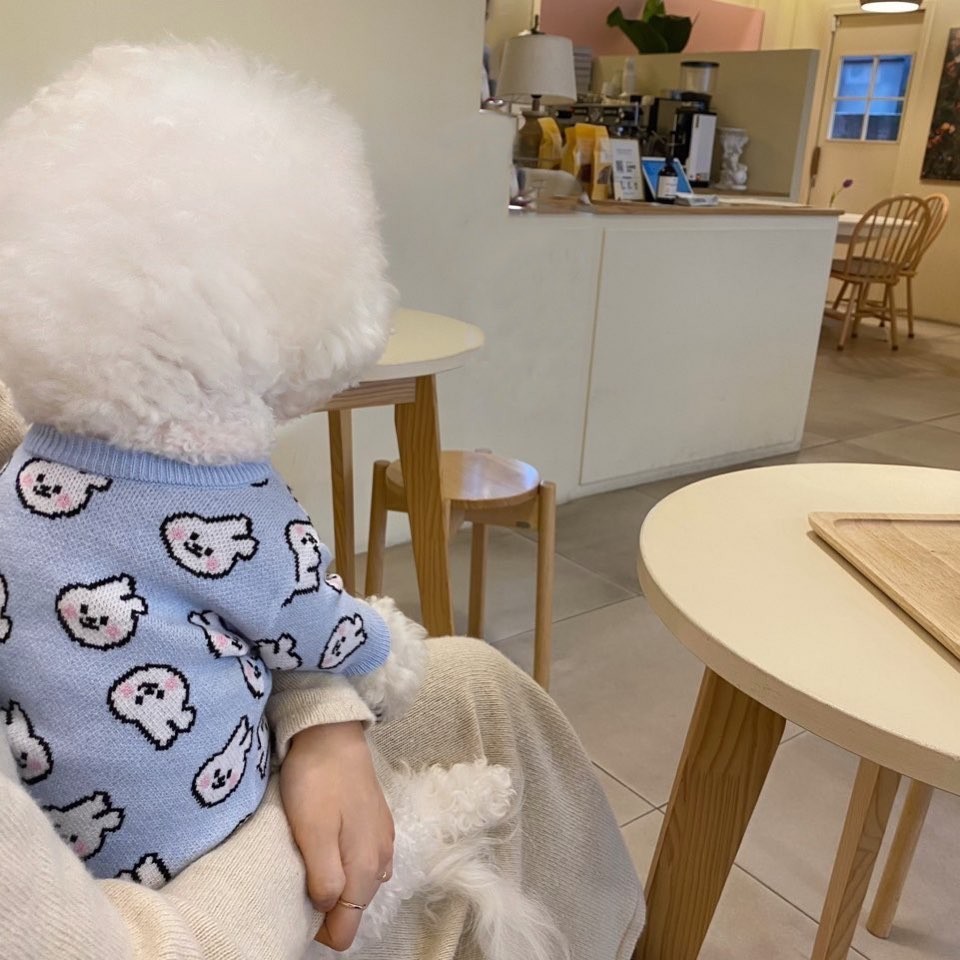 Hot Sale Cute Sweater Dog Clothes Soft Warm Comfortable Breathable Pet Clothes