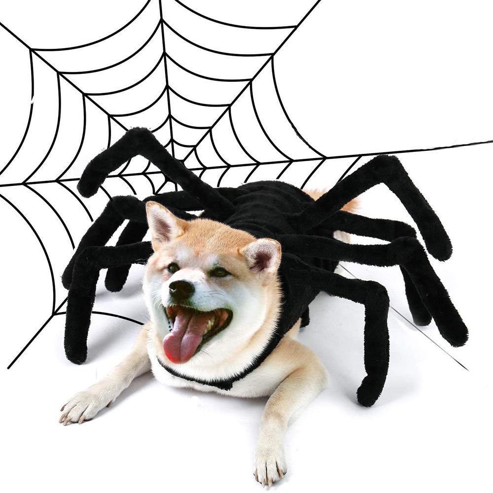 New Arrival Halloween Spider Shape Pet Decorations Comfortable Creative Cosplay Pet Clothes