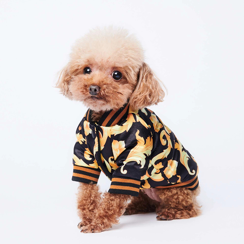 2020 Product Dog Clothes Winter Pet Dog Jacket Dog Coat