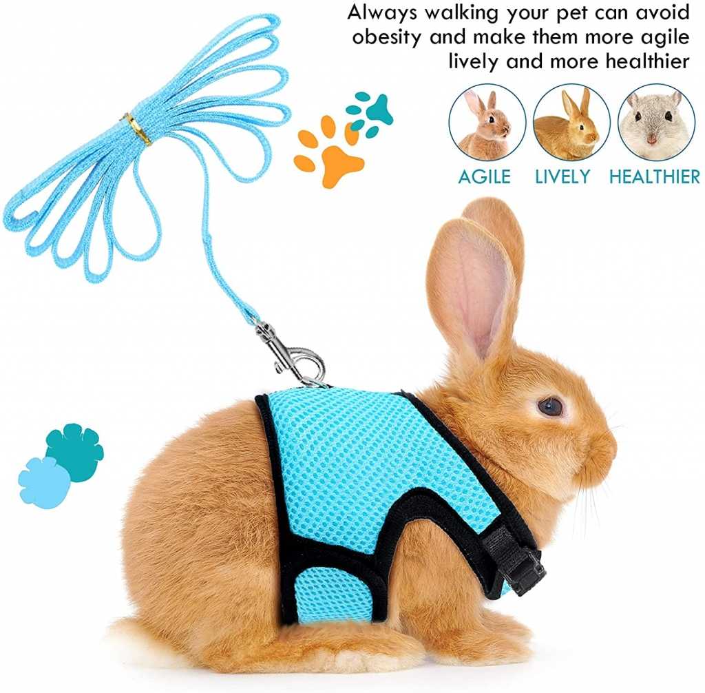 3 Pieces Rabbit Harness With Leash Cute Small Animals Adjustable Buckle Breathable Mesh Pet Vest Kitten Puppy Small Pets Wa