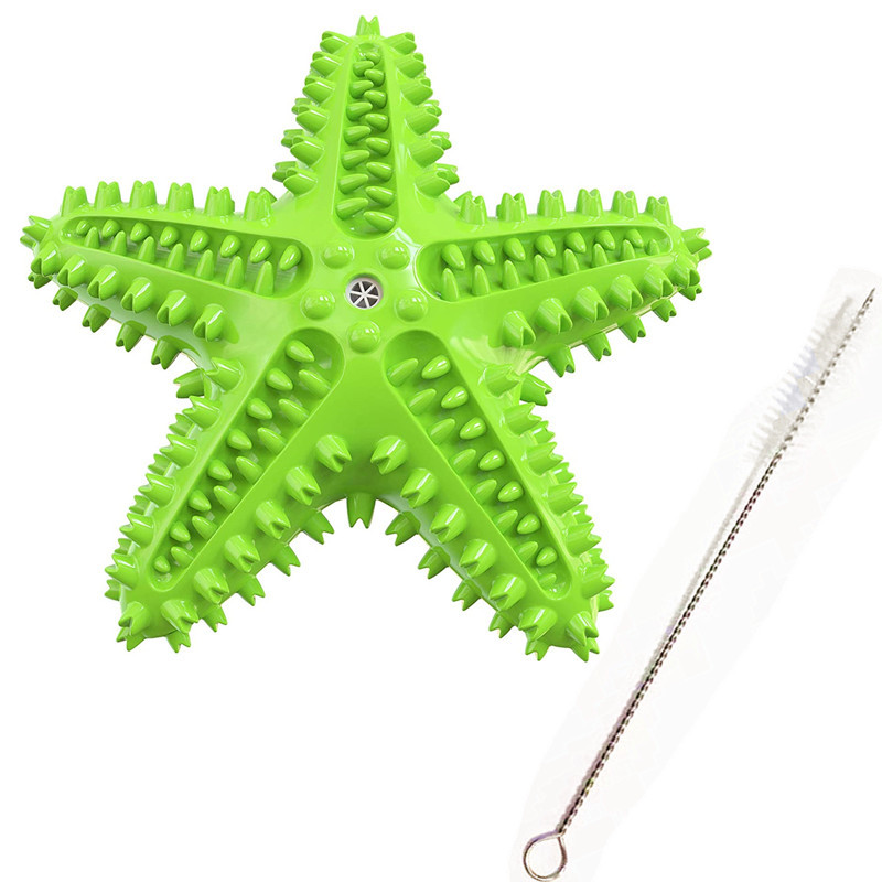 A Musthave Summer Starfish Water Pet Dog Toy Amazon Merchants