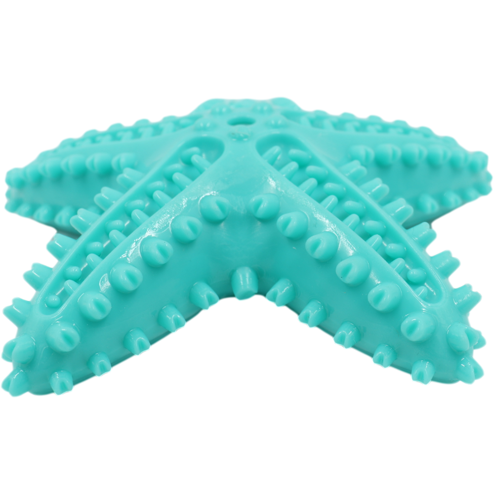 A Musthave Summer Starfish Water Pet Dog Toy Amazon Merchants