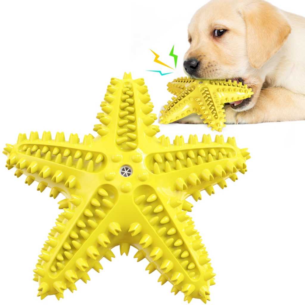 A Musthave Summer Starfish Water Pet Dog Toy Amazon Merchants