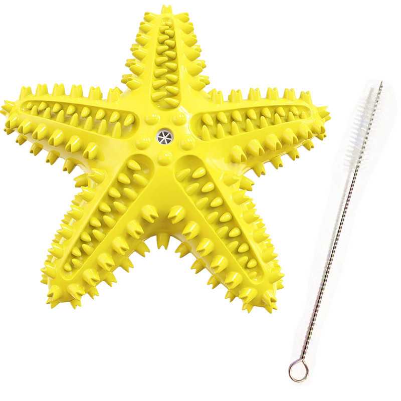 A Musthave Summer Starfish Water Pet Dog Toy Amazon Merchants