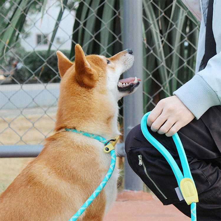 AZB133 Reflective Pet Dog Leashes Pet Dog Training Collars Leash Pet Products With Comfortable Padded Handle