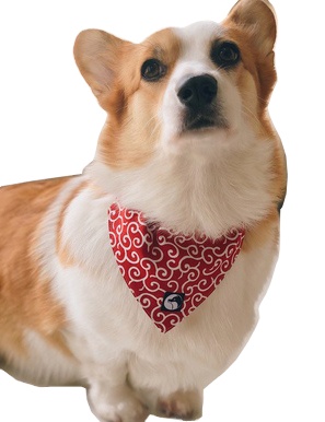 Adjustable Custom Triangle Pet Cat Dog Bandana Dog Scarf Bandana Dog Collar Pet Triangular Bandanas