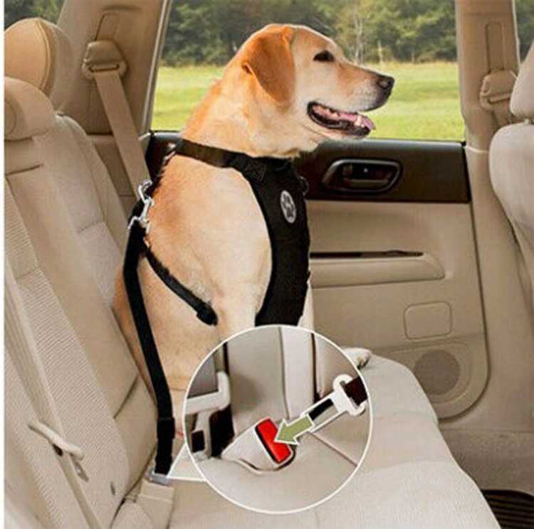 Adjustable Multifunctional Safety Vehicle Dog Car Seat Double Layer Net Cloth Harness Safe Pet Dog Seat Belt Set