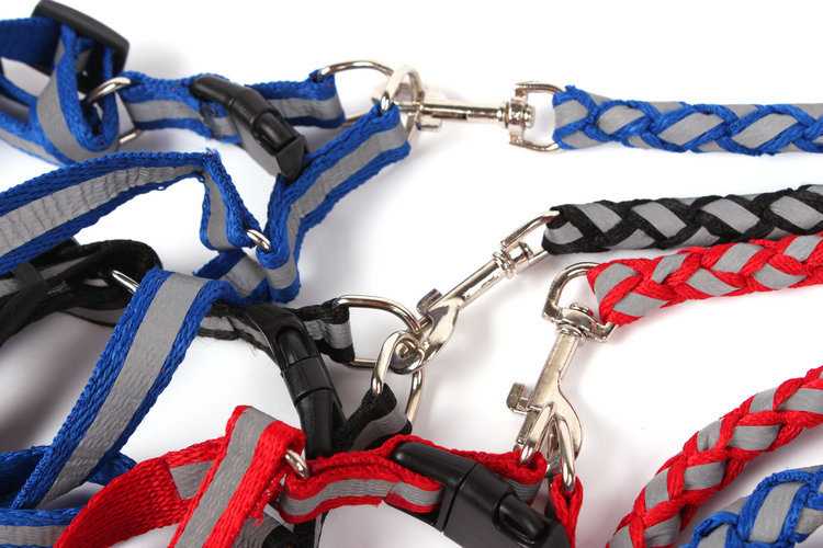 Adjustable Reflective Pet Dog Harness With Nylon Leash Outdoor Training Dogs