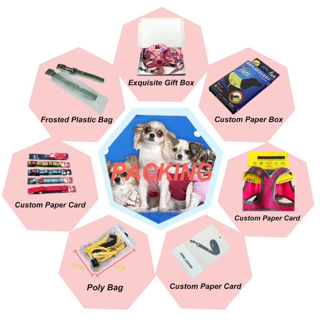 Amazon Cat Dog Breakaway Collar Leash Set Bowtie Collar Scarf Bandana Harness Set Pet Bandana Matching Owner