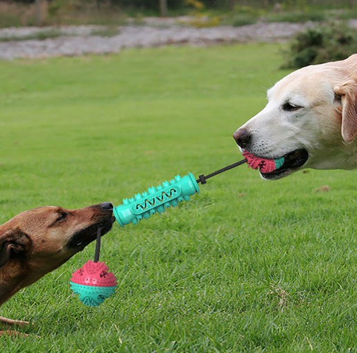 Amazon Dog Durable Molar Stick TPR Nibble Bone Toothbrush Cleaning Toy Dog Pet Toy