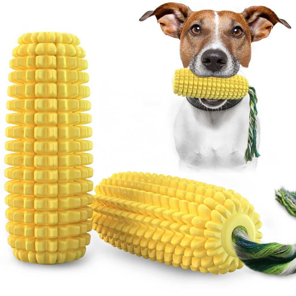 Amazon Dog Pet Toy Chew Interactive Water Float Cactus Chew Training Toy