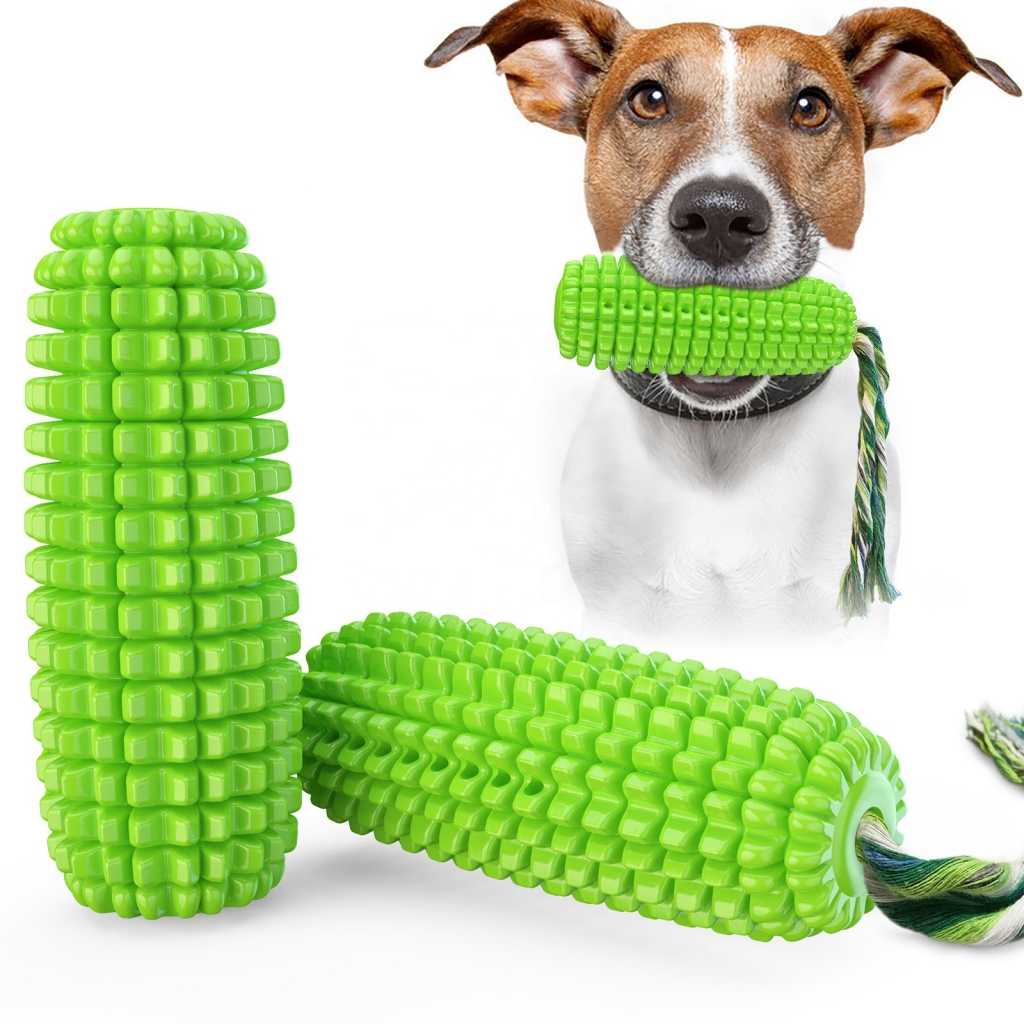 Amazon Dog Pet Toy Chew Interactive Water Float Cactus Chew Training Toy