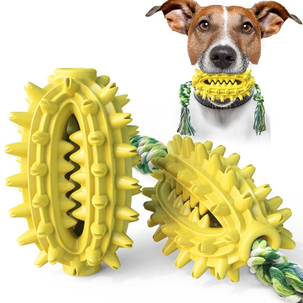 Amazon Dog Pet Toy Chew Interactive Water Float Cactus Chew Training Toy