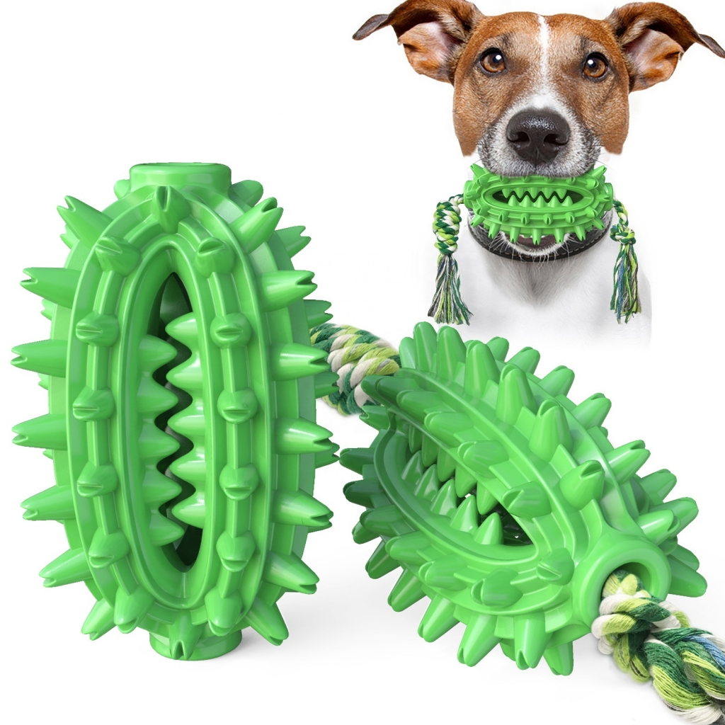 Amazon Dog Pet Toy Chew Interactive Water Float Cactus Chew Training Toy