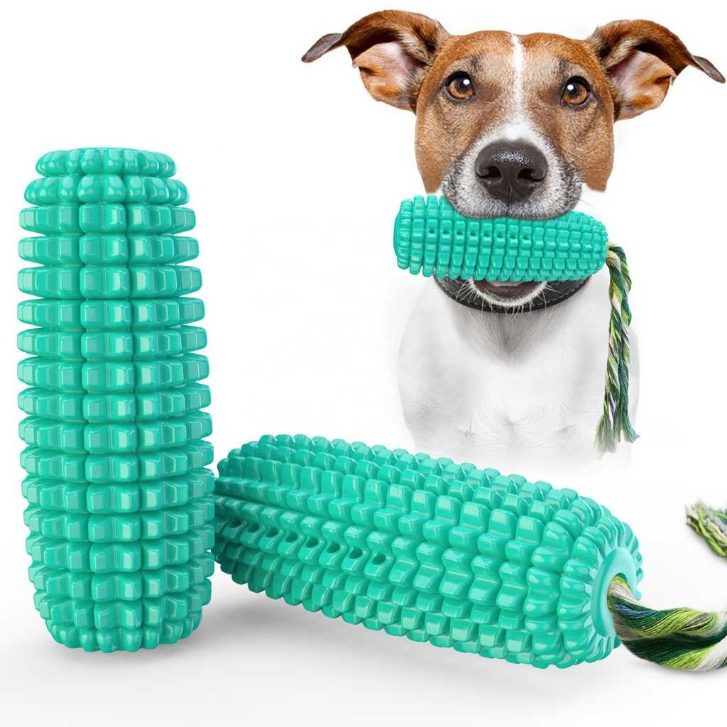 Amazon Dog Pet Toy Chew Interactive Water Float Cactus Chew Training Toy