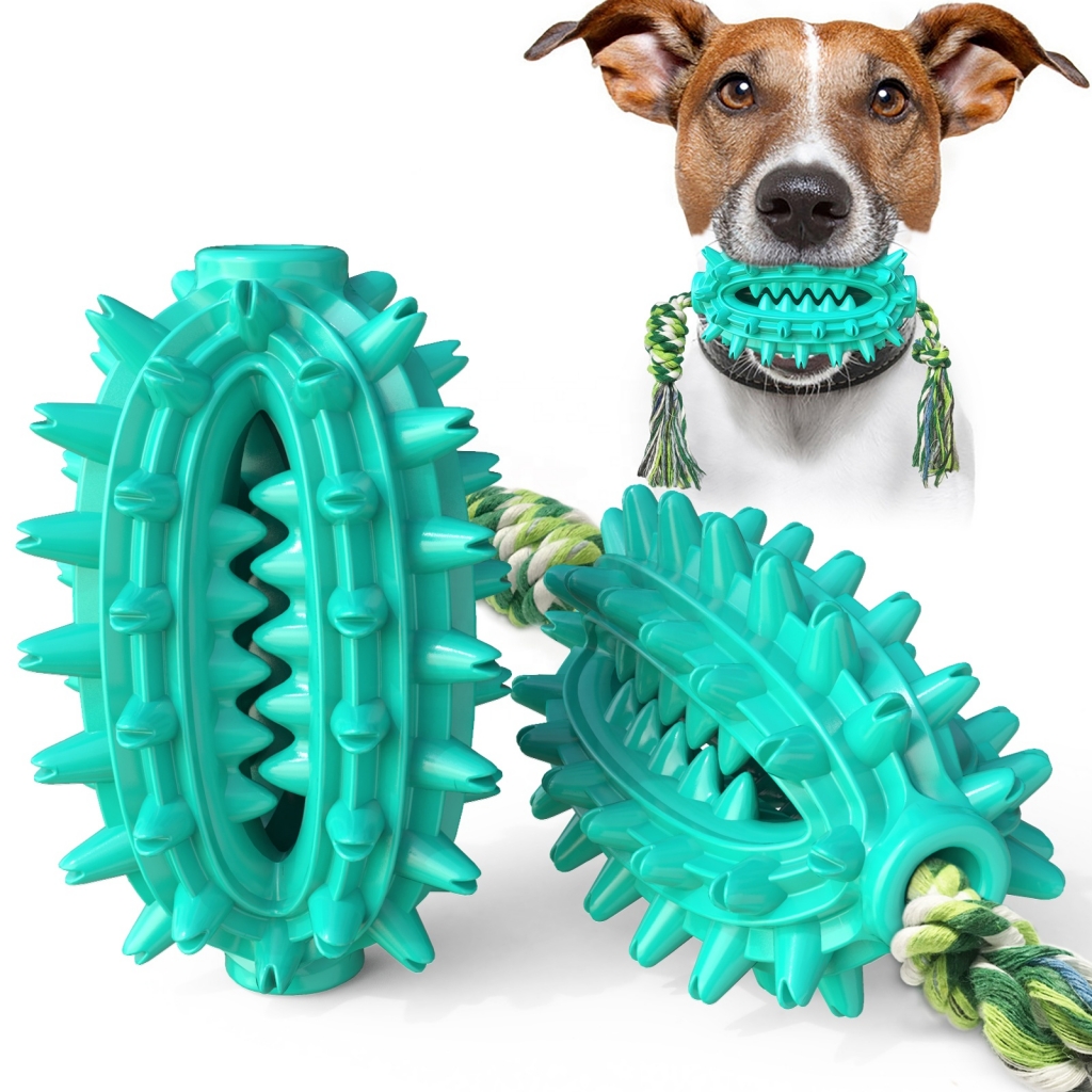 Amazon Dog Pet Toy Chew Interactive Water Float Cactus Chew Training Toy