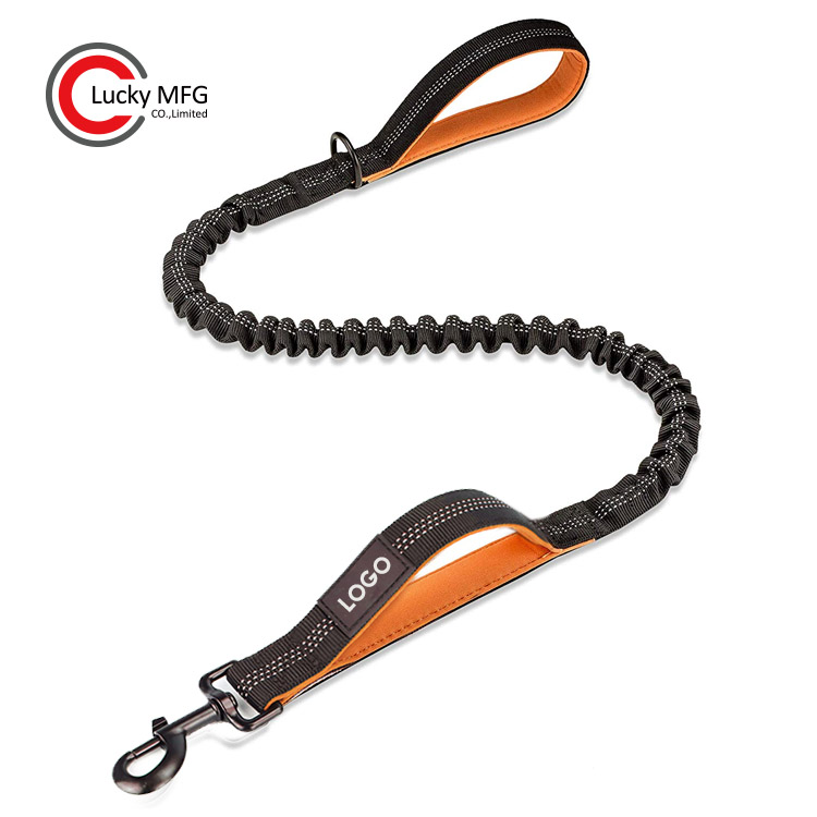Amazon Top Seller Pet Reflective Nylon Bungee Shock Absorbing Dog Leash With Double Traffic Control Handles