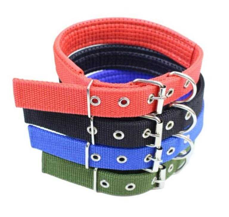 Basic Padded Nylon Pet Collars Solid Color Small Medium Large Dog Puppy